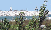 Visit Collingwood